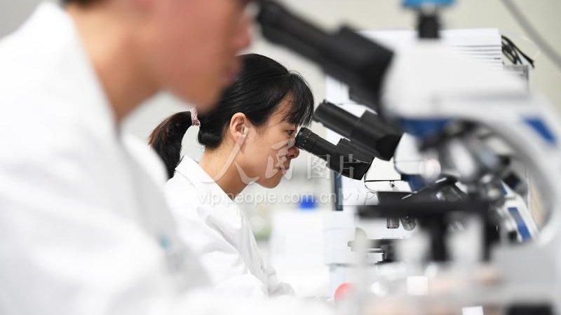 许多科研人员在选择引物合成纯化方法时存在以下误区：
