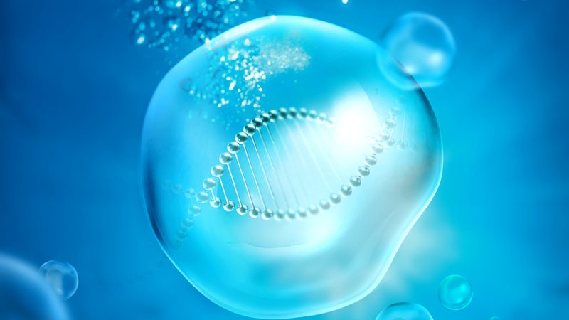 分子生物学试剂：如何选择可靠的代理商？**