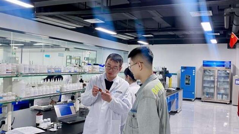 CDMO服务流程揭秘：从研发到生产的关键环节