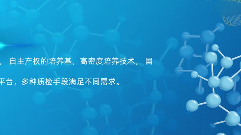 小标题：CRO优化公司的作用