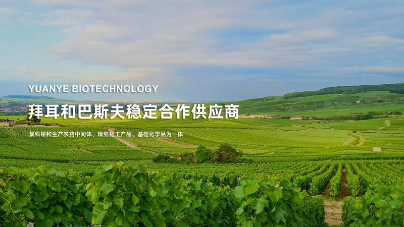 国产移液器：从“幕后英雄”到“舞台主角”**