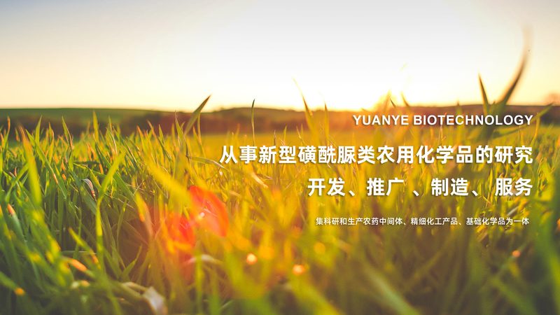 CDMO项目合作模式：揭秘医药研发背后的合作伙伴