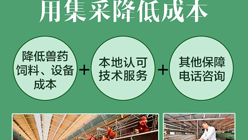 生物试剂使用攻略：如何最大化实验效果**