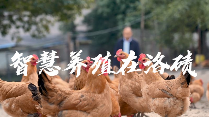 行业背景：生物制品研发的挑战与机遇