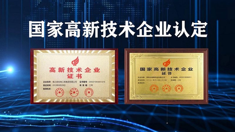 CDMO研发外包公司排名背后的考量因素