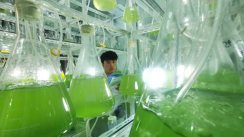 生物医药外包项目管理办法审计要点解析